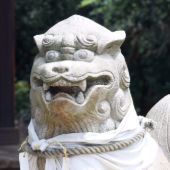 Photo for Anne Commons