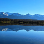 Photo for Cheryl Ackerman