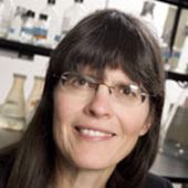 Photo for Catherine Chan