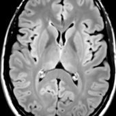 Photo for Craig Jones