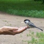 Photo for Denise Young