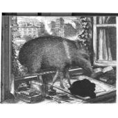 Photo for Erina Harris