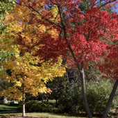 Photo for Holly Horvath