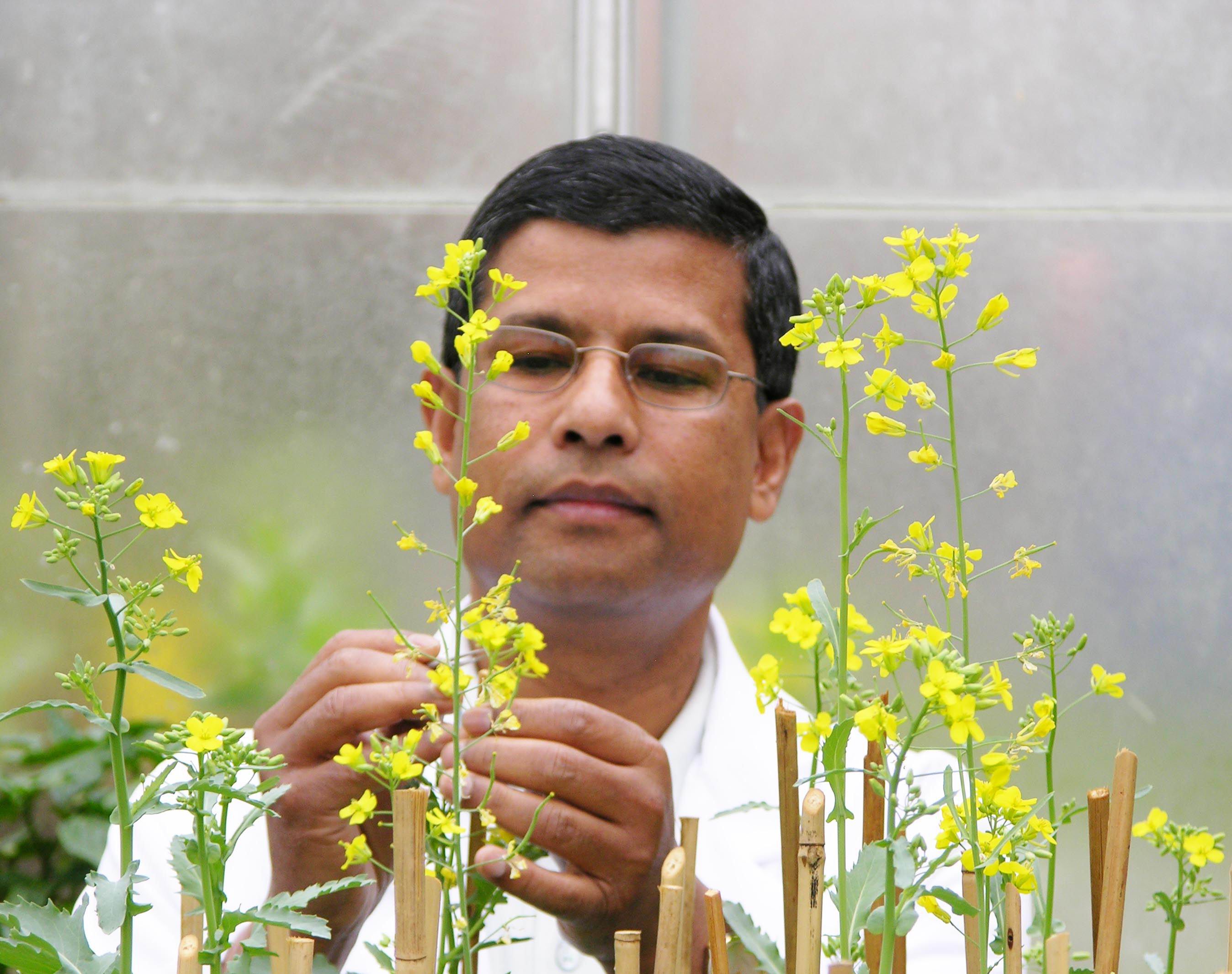 Photo for Habibur Rahman