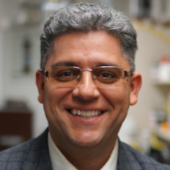 Photo for Mahdi Shahbakhti