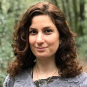 Photo for Samira Rasouli Koohi