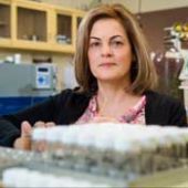 Photo for Sylvie Quideau